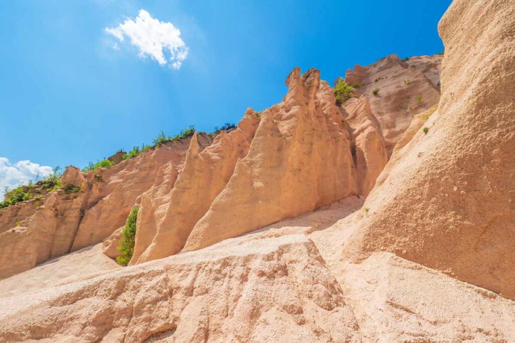 Lame Rosse