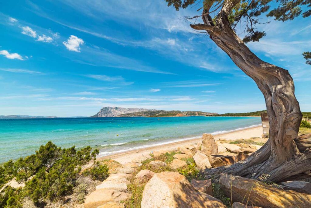 spiaggia Capo Coda Cavallo, Sardegna