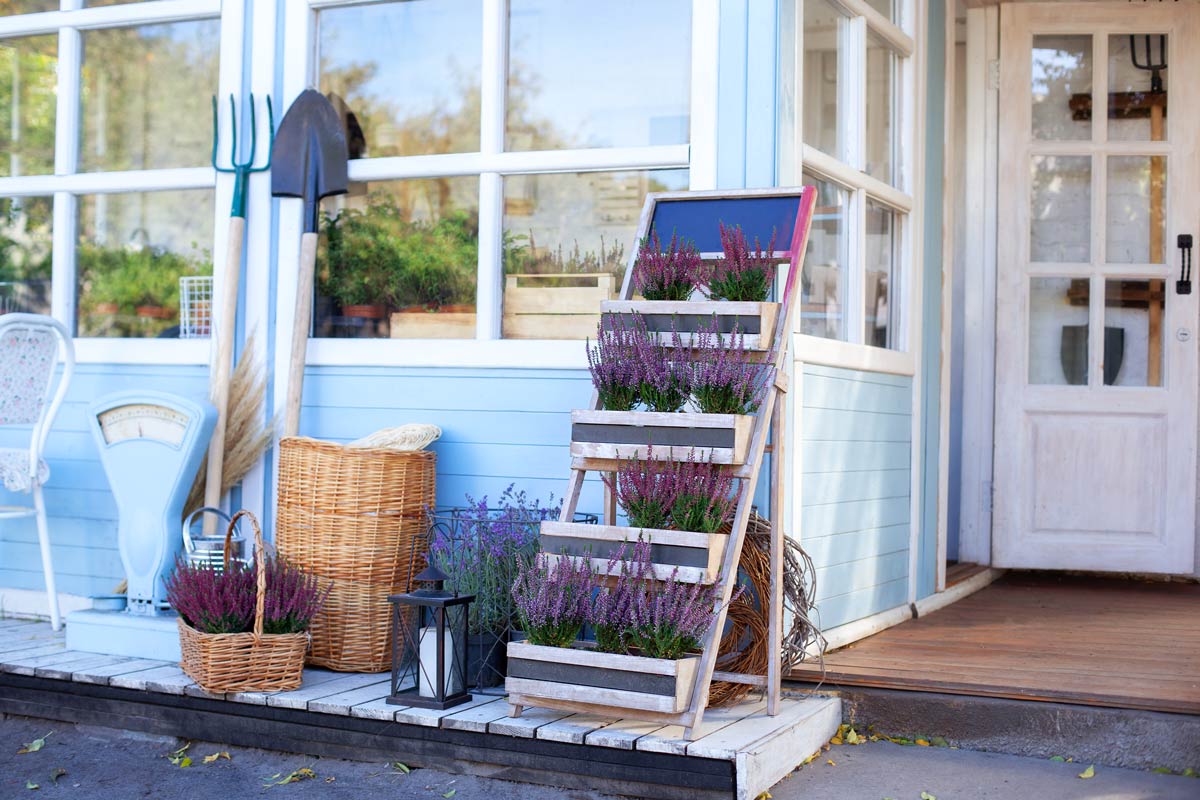 Scaletta con lavanda