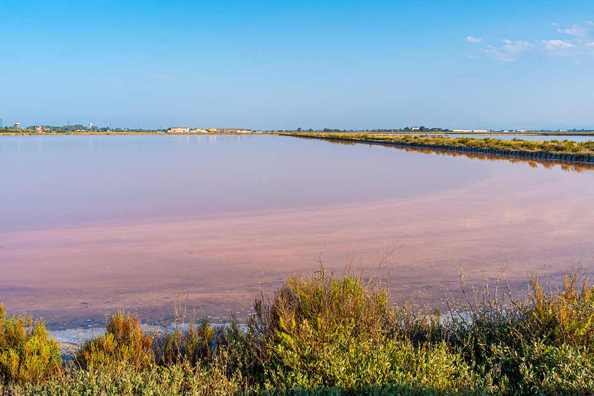 saline di Cervia