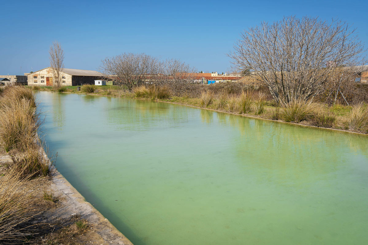 terme del bullicame