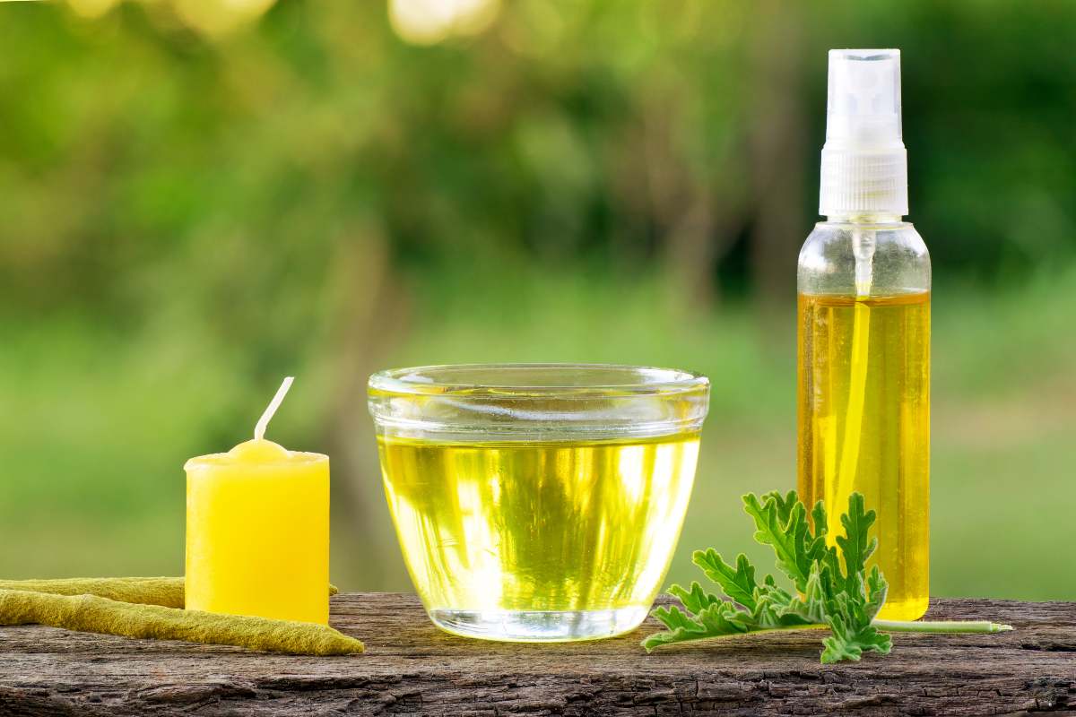 Citronella