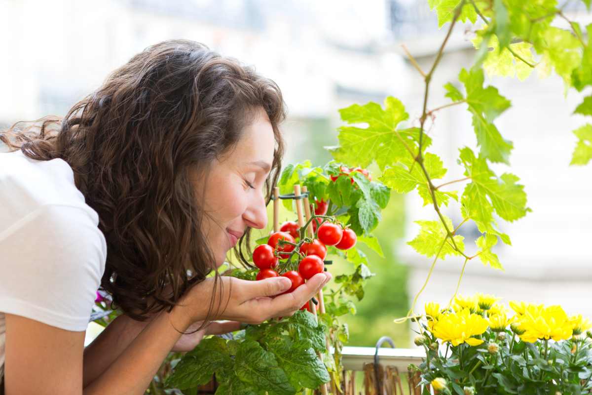 pomodori