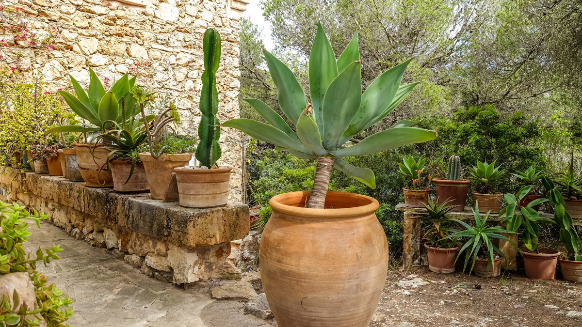 muretto decorato con vasi di terracotta