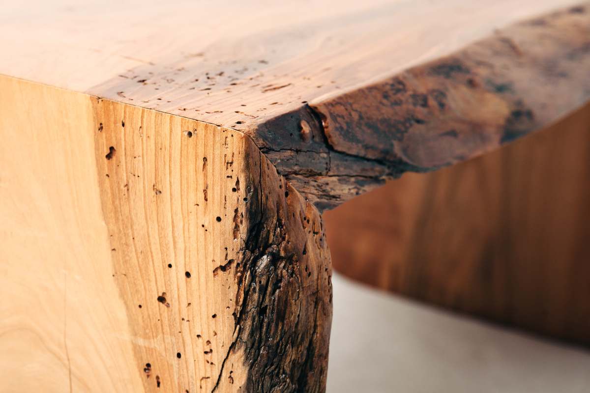 I tarli del legno volano?