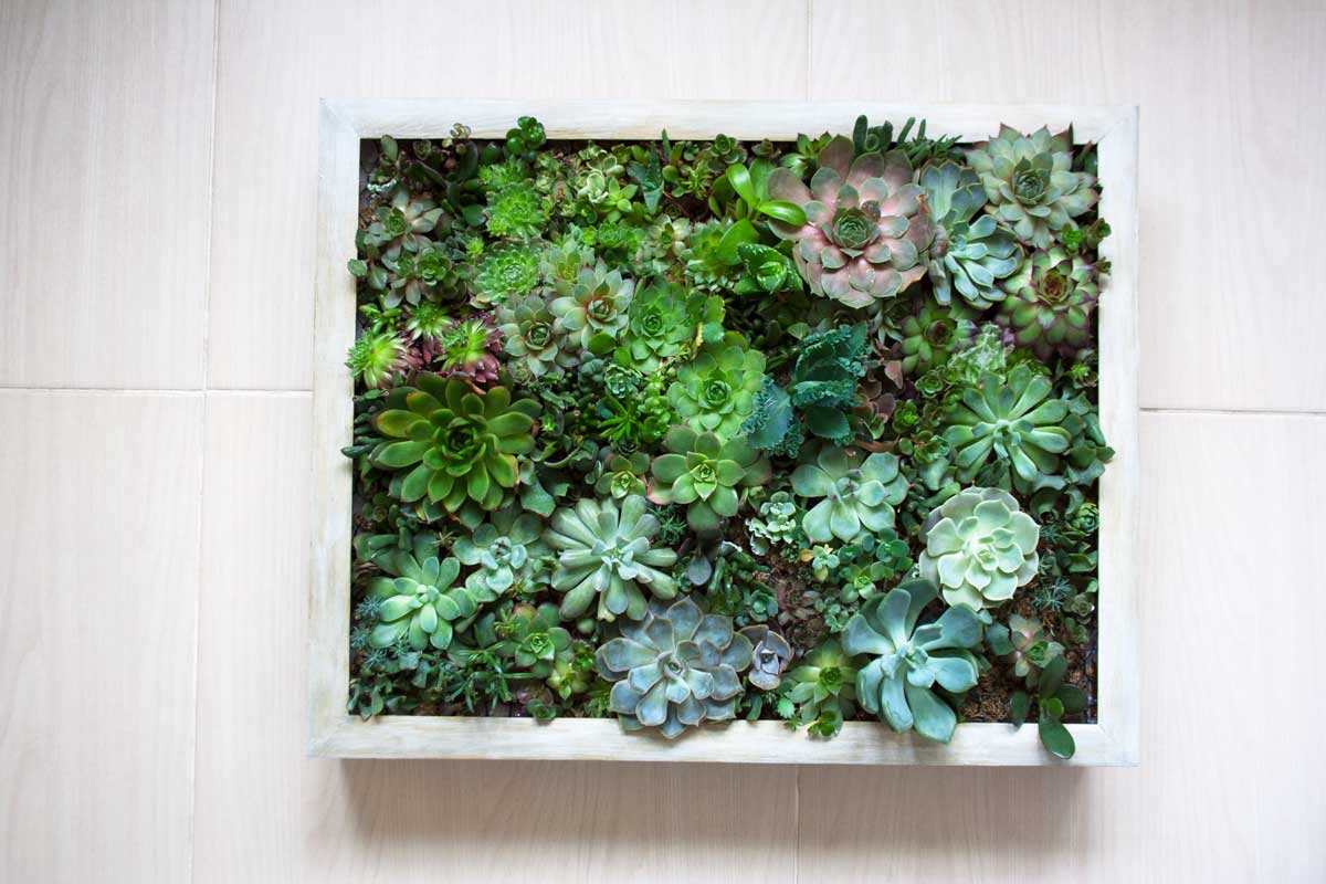 1 pz vaso di fiori in ceramica creativo adorabile cartone animato a