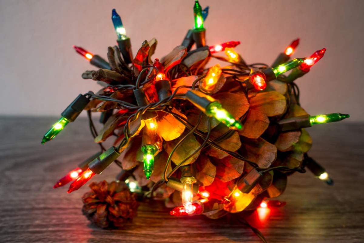 Pigna decorata con luci LED