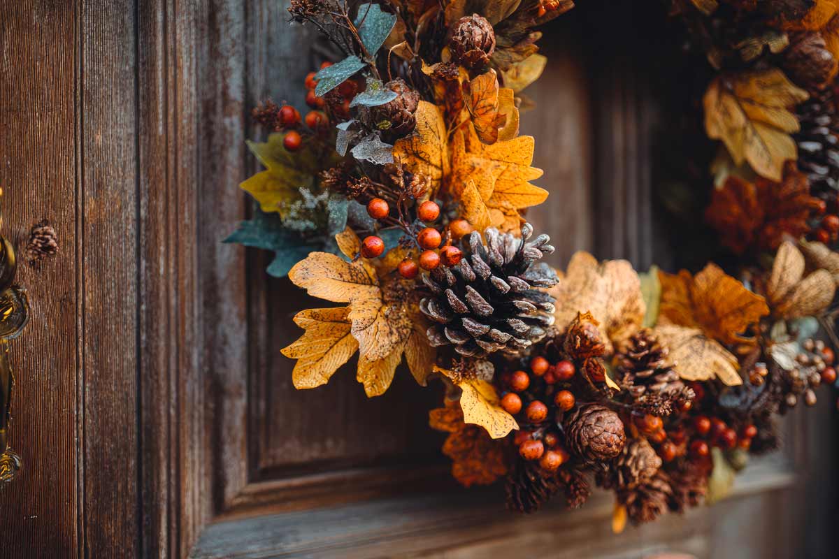 fuoriporta autunnale con pigne e foglie secche