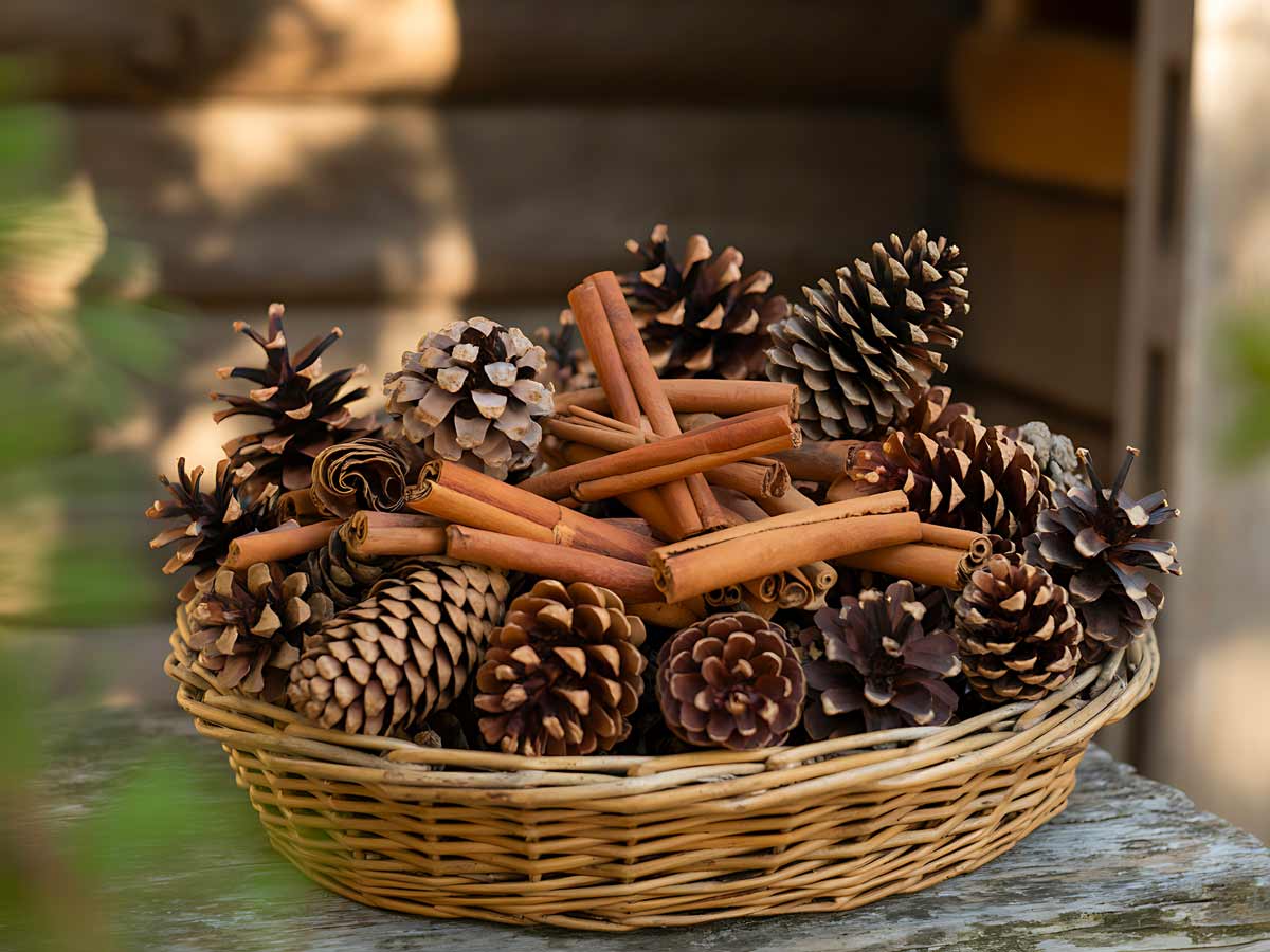 cesto decorativo con pigne e bastoni di cannella