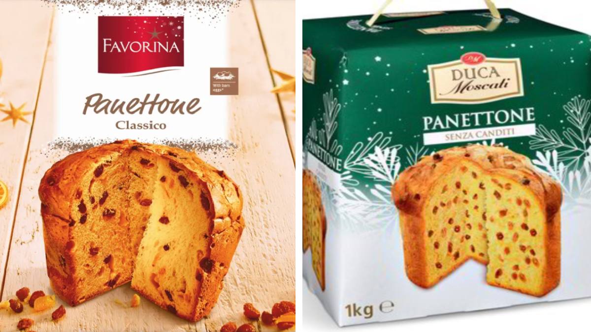 I panettoni Lidl ed Eurospin: le grandi marche dietro questi prodotti