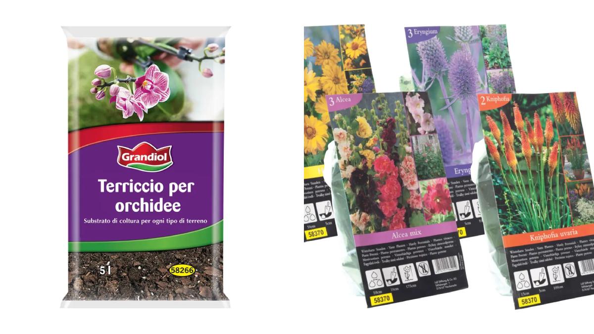 Da Lidl questa settimana offerta su bulbi e terricci