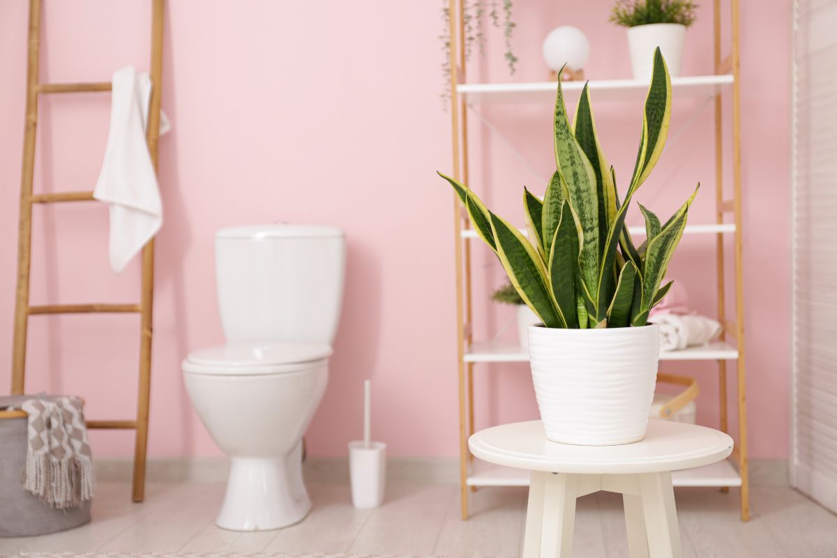 Arredare il bagno con i colori pastello