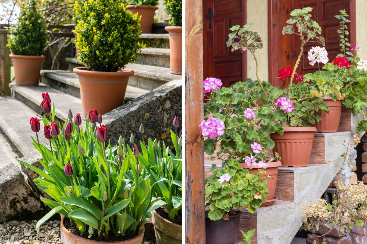 Decorare scale con vasi di fiori