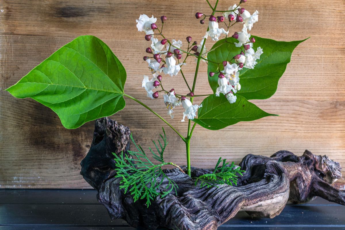Decorazioni primaverili