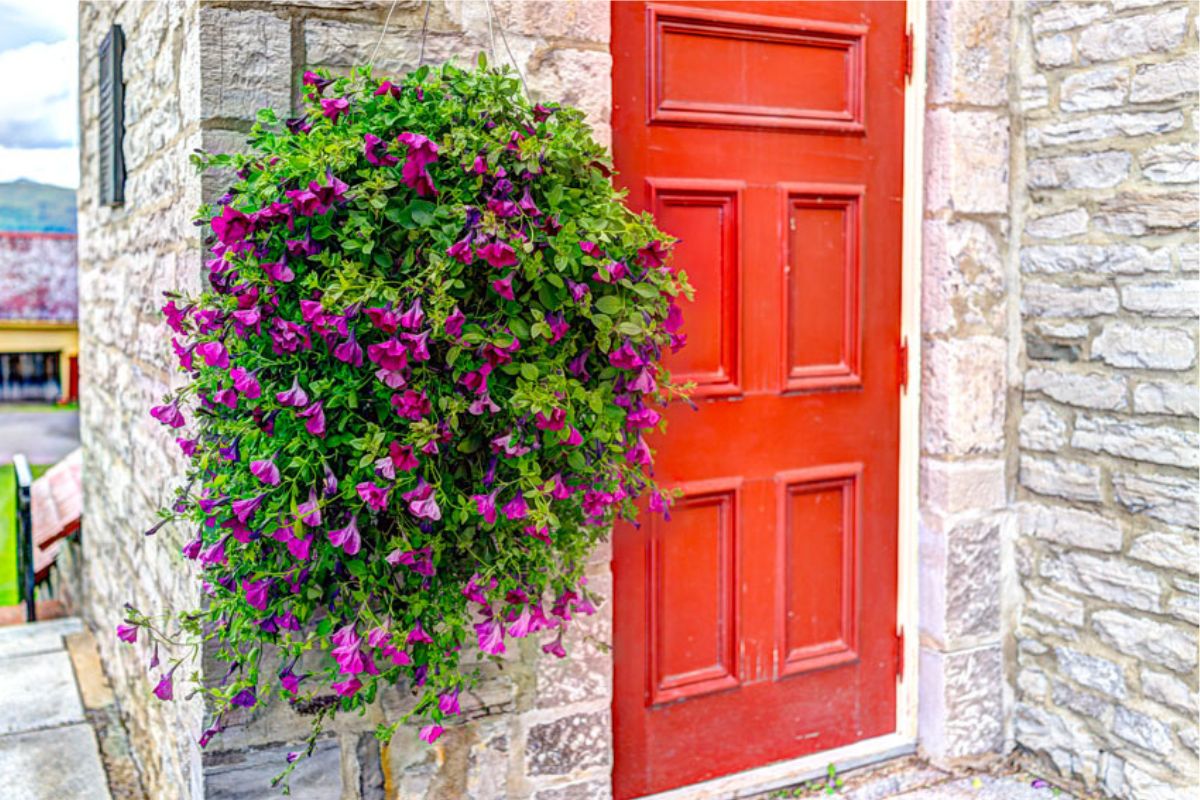 Idee ingresso con i fiori di primavera