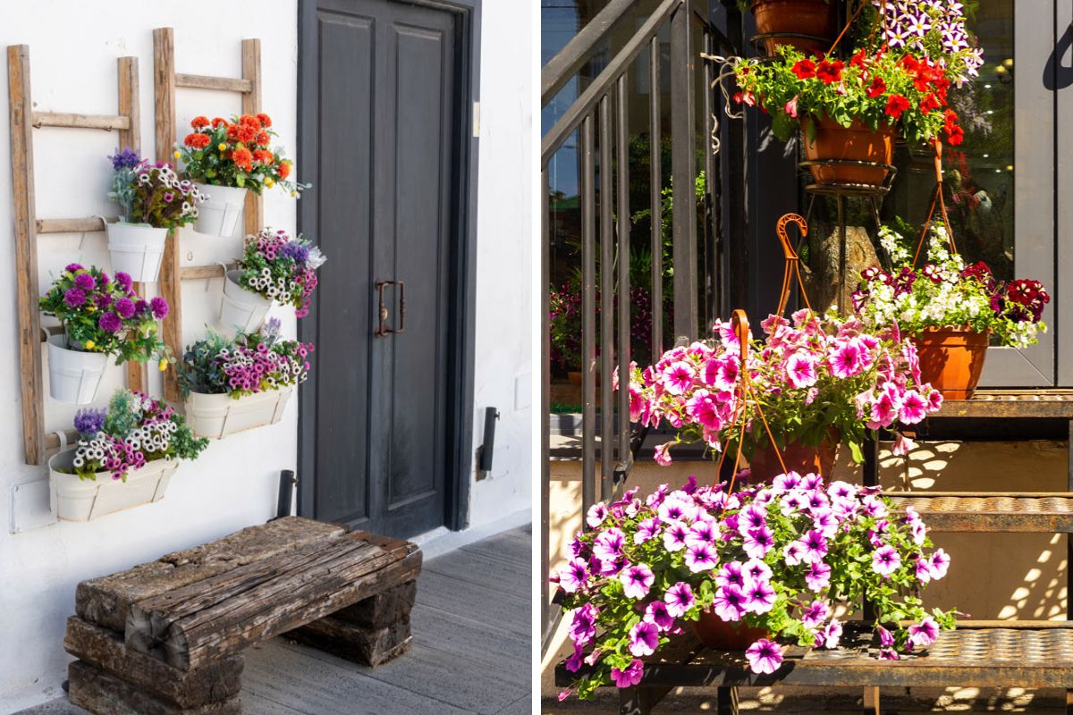 Fiori di primavera all'ingresso