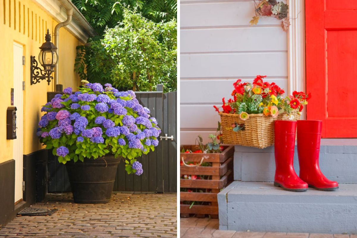 Trasforma il tuo ingresso con i fiori