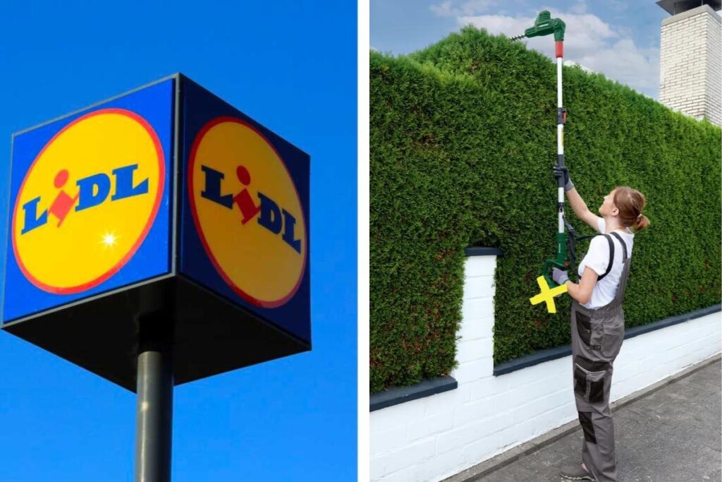 Lidl: il tagliasiepi telescopico Parkside in offerta
