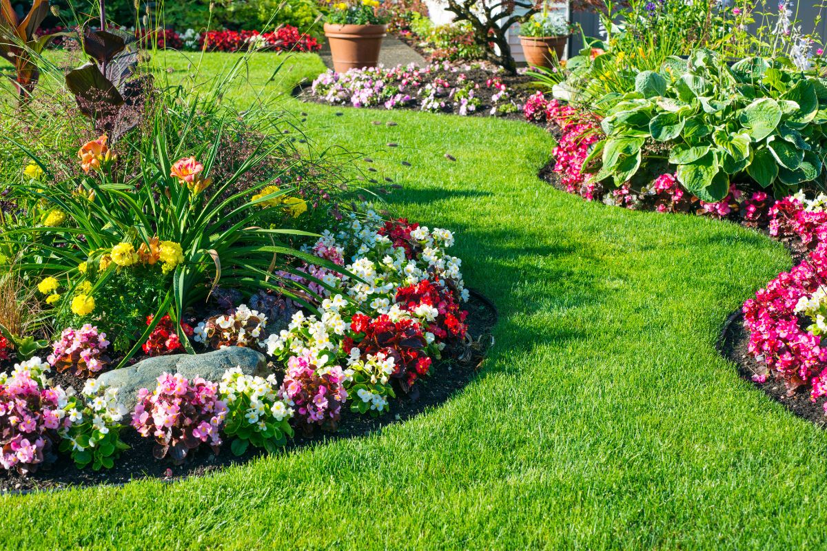 Come combinare piante diverse in giardino
