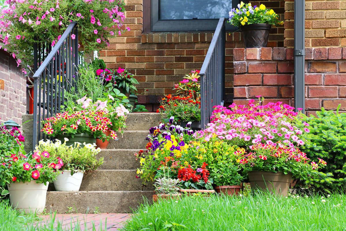 Fiori sulle scale esterne