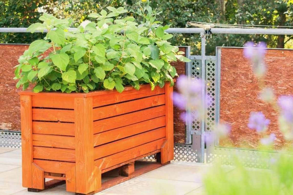 Design green pallet in balcone