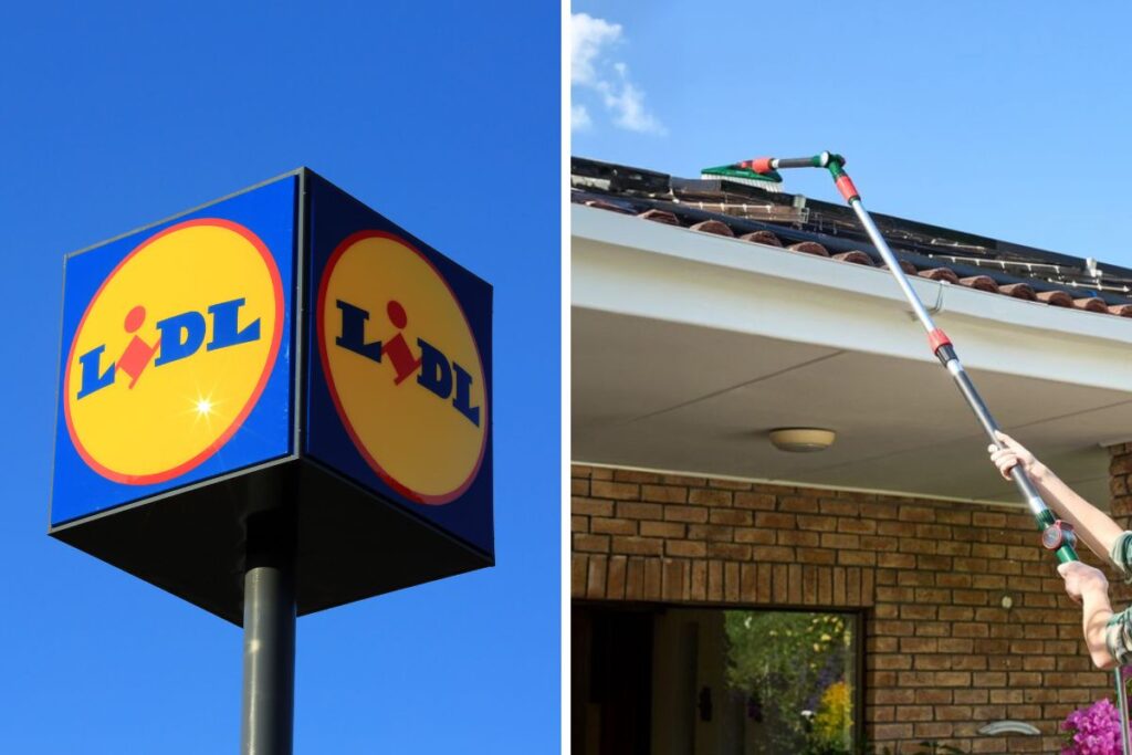 Lidl scopa ad acqua o tergivetro