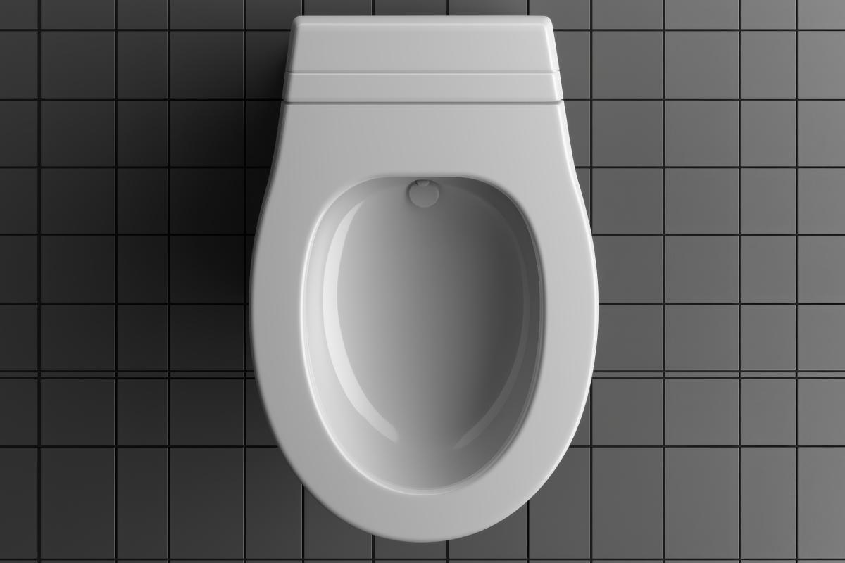 Il WC si igienizza anche con l'aglio