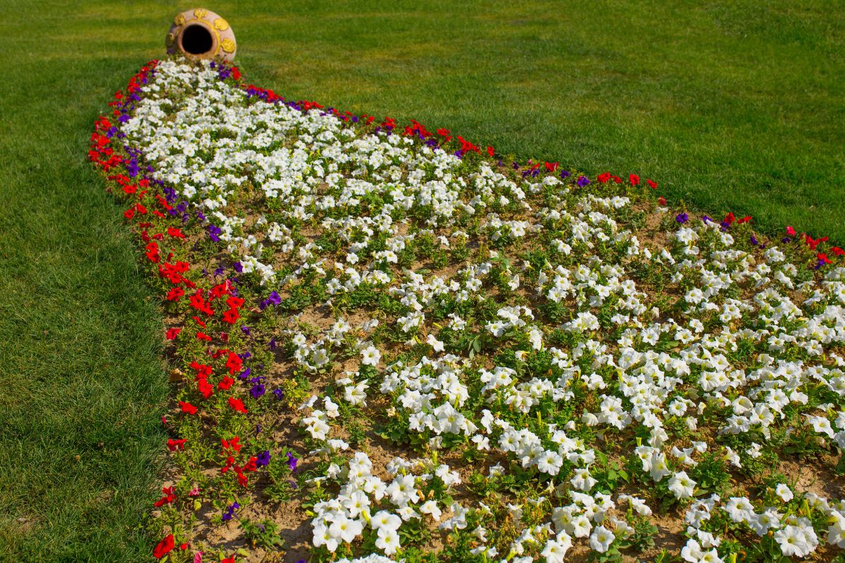 Anfora con fiori
