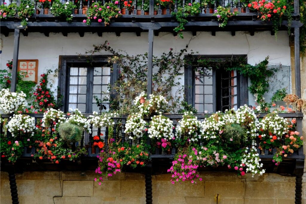 Balcone fiorito: ecco come diventa un giardino