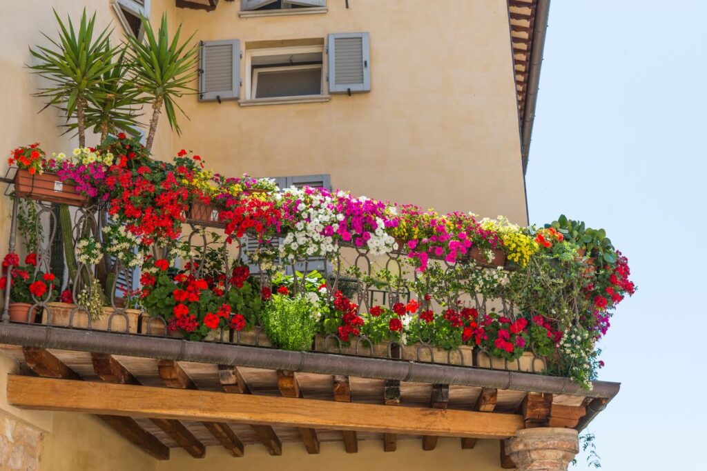 Balcone con tanti fiori con le cipolle