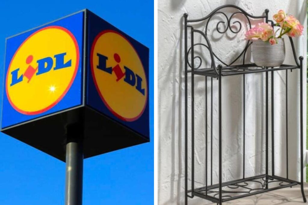 Lidl: fioriere, scaffali, vasi e supporti per piante