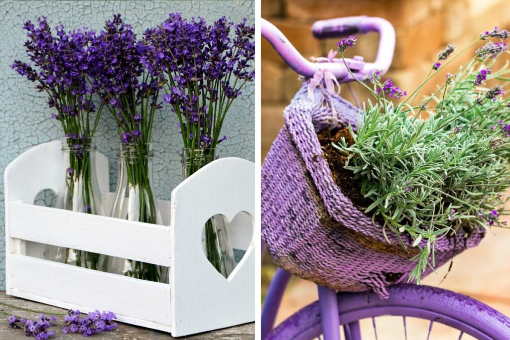 Decorazioni shabby in casa con la lavanda