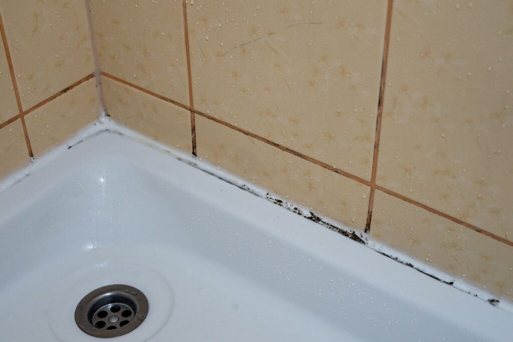 Pulizia muffa nel box doccia
