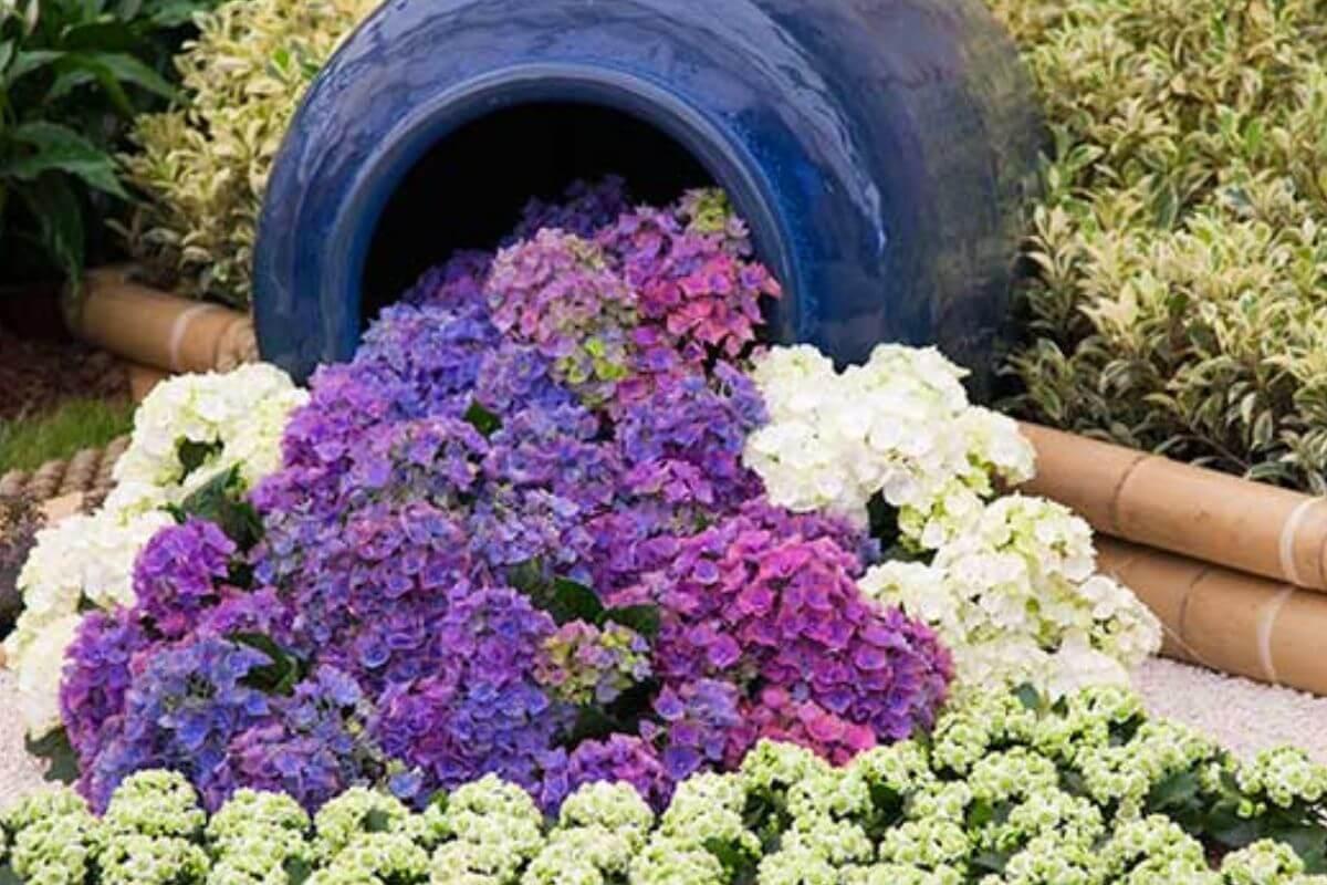 Idee primaverili per il giardino