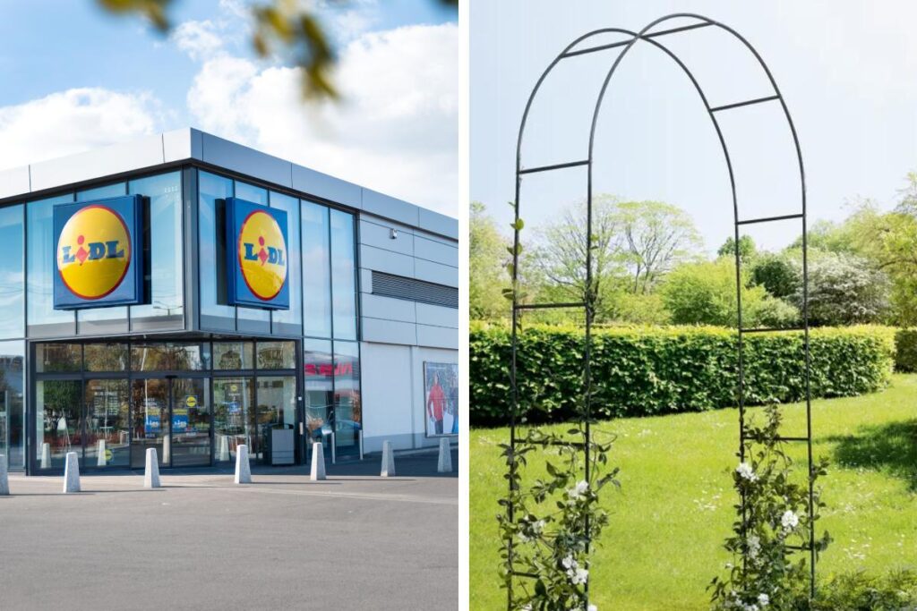 L'arco perfetto da Lidl per piante rampicanti