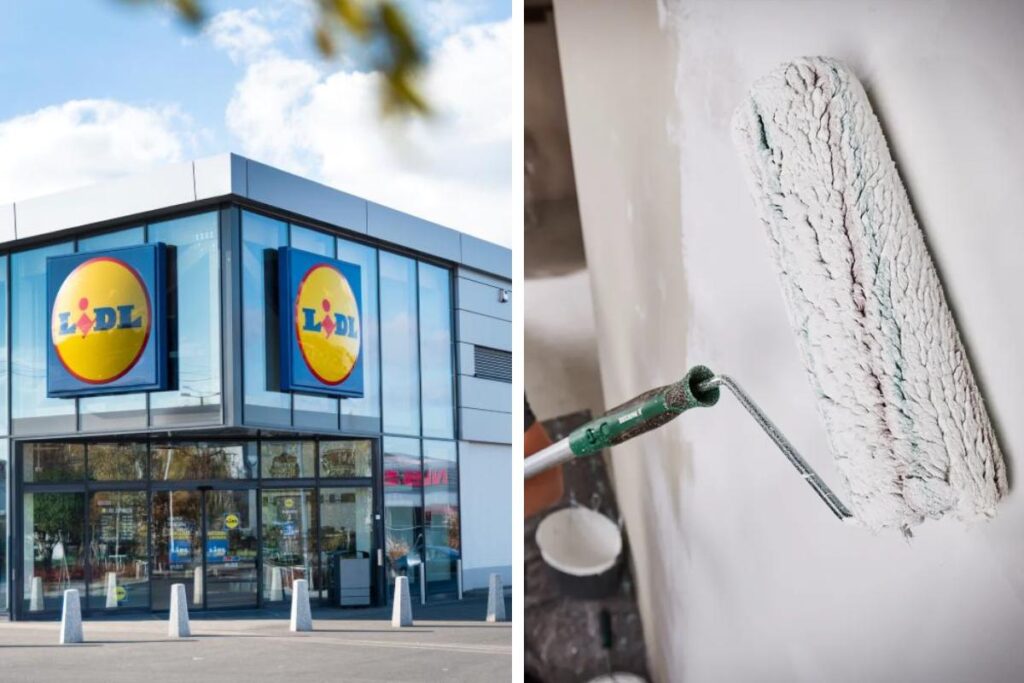 Da Lidl in offerta il set per tinteggiare