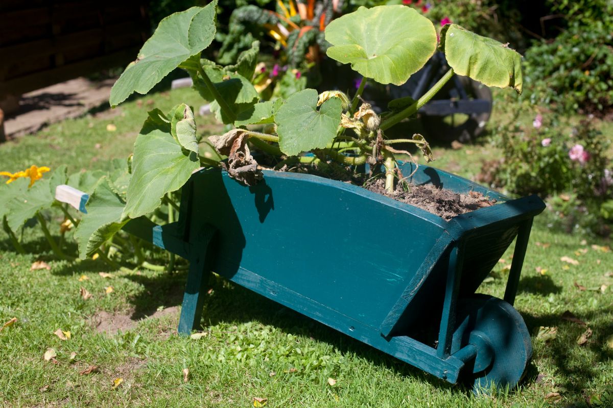 idee creative per giardino