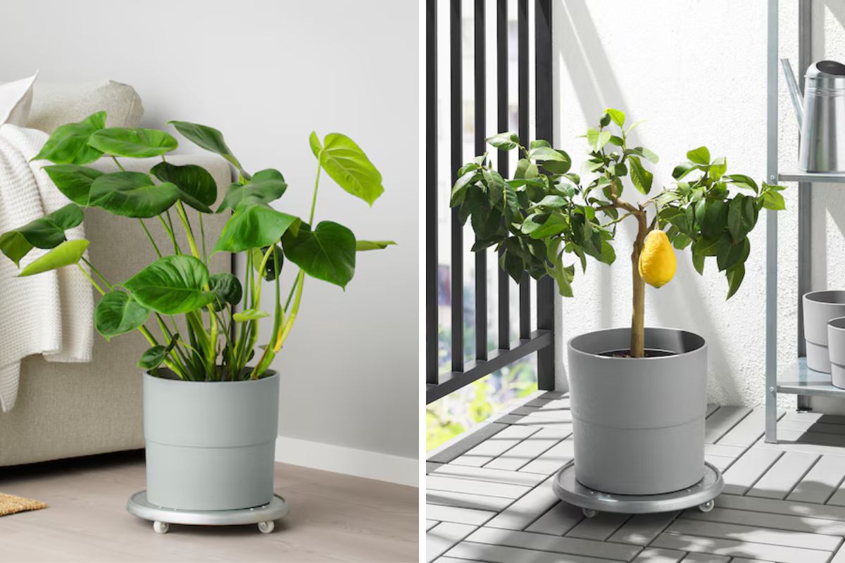 Vasi da esterno Ikea