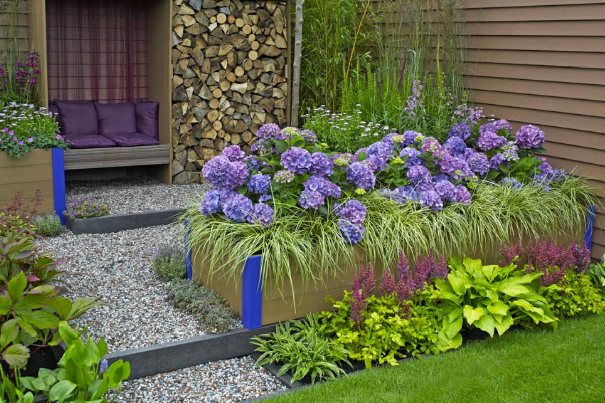 8 idee per giardino con le ortensie