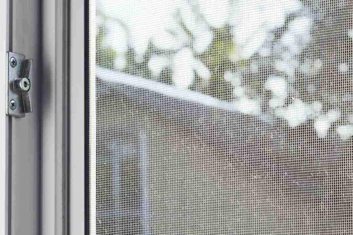 Eliminare le cimici dal balcone