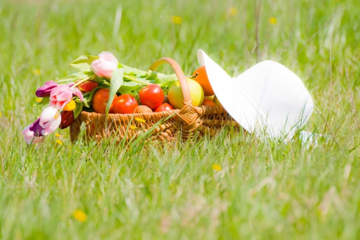 La primavera inizia in giardino