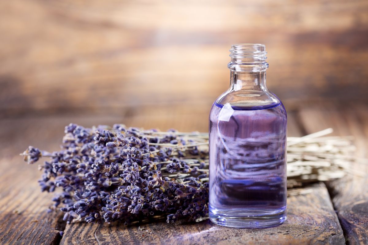 usare la lavanda come fertilizzante naturale