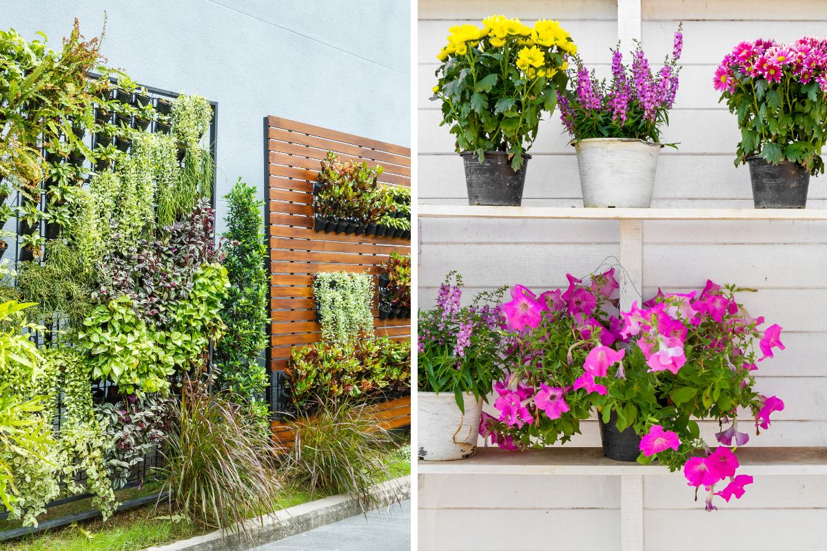 decora casa con i giardini verticali