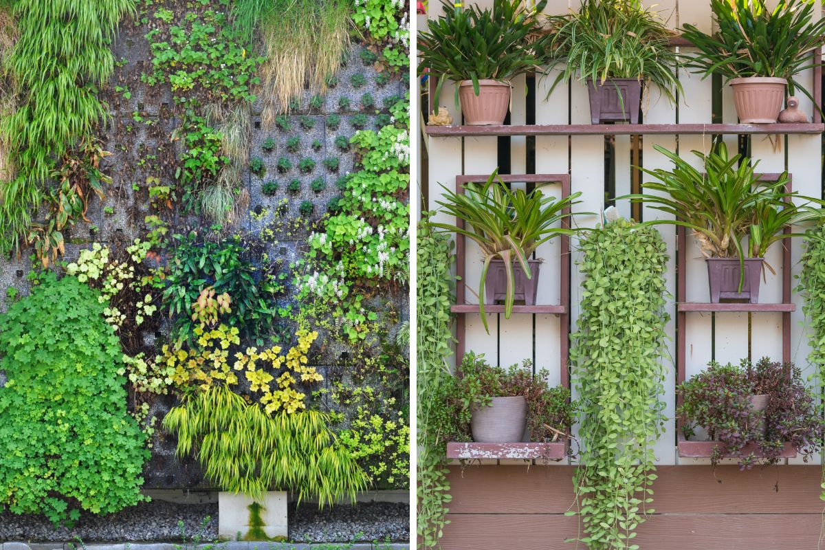 crea giardini verticali