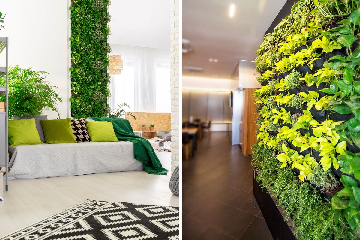 creare giardini verticali in casa