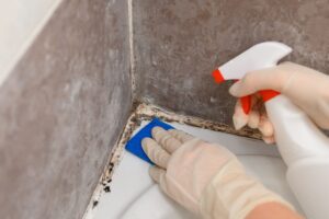 eliminare muffa della doccia