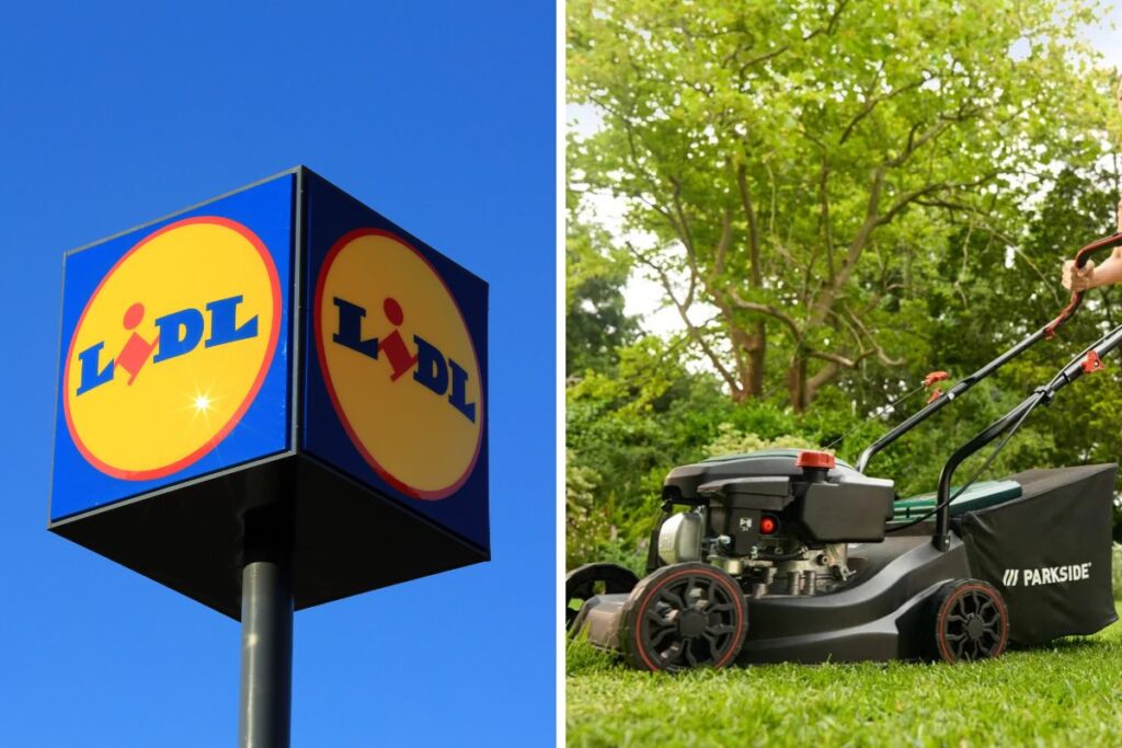 lidl tosaerba a benzina
