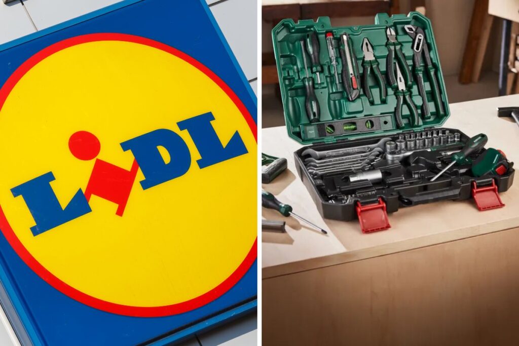 lidl valigetta porta attrezzi