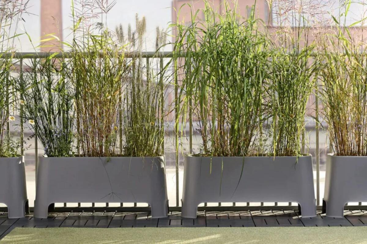 Le fioriere Ikea del 2025