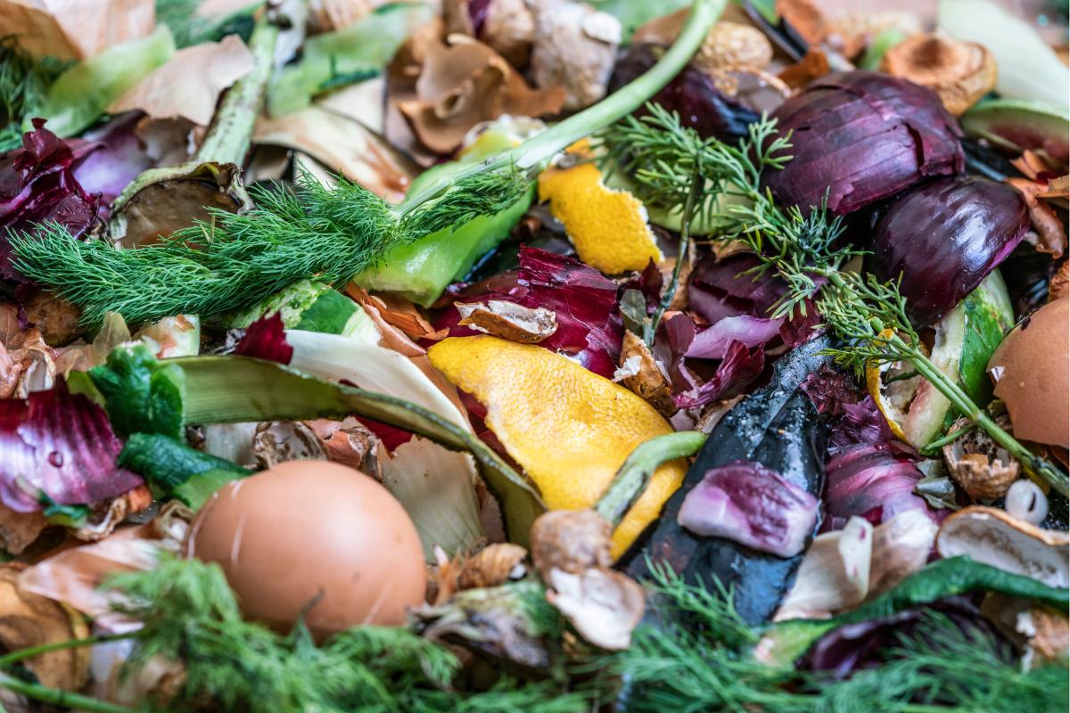 I concimi naturali: bucce, gusci e altro